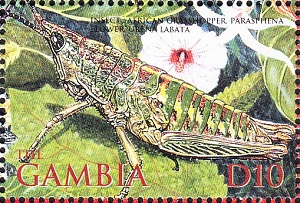 Гамбия - Gambia (2003) 