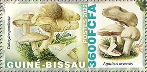 Гвинея-Бисау - Guinea Bissau 2022