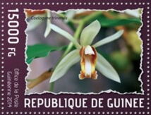 Гвинея - Guinea 2014