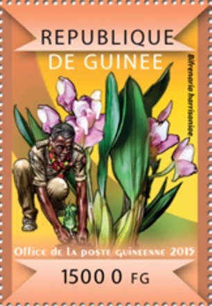 Гвинея - Guinea 2015