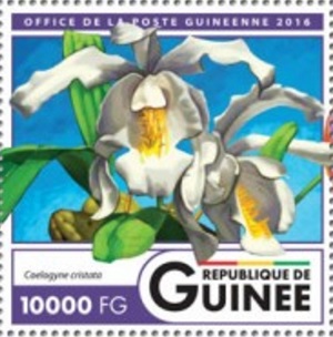 Гвинея - Guinea (2016)