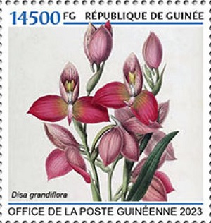 Гвинея - Guinea (2023)