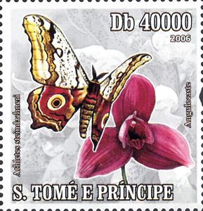Сан-Томе и Принсипи - Saint Thomas (Angulocaste sp. - 2006) 