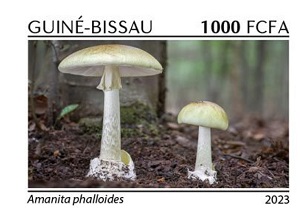Гвинея-Бисау - Guinea Bissau 2023