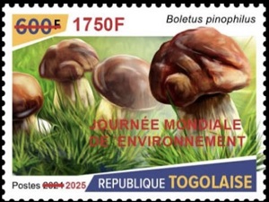 Togo 2021