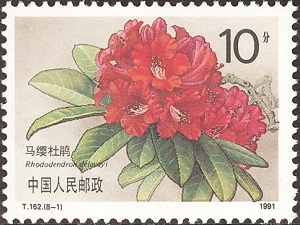 China 1991