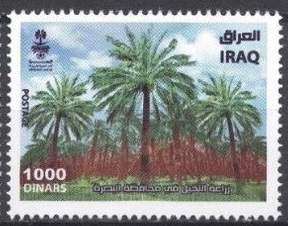 Ирак - Iraq (2023)