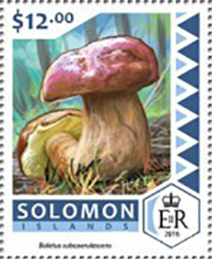 Solomon 2016