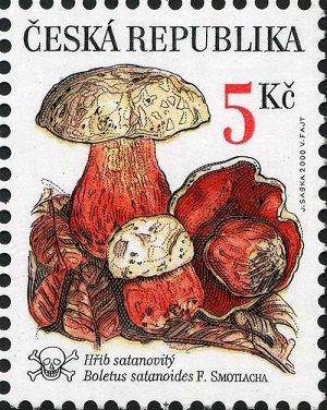 Czech rep. 2000