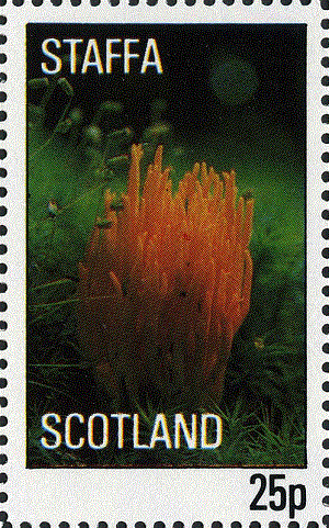 Scotland 1982