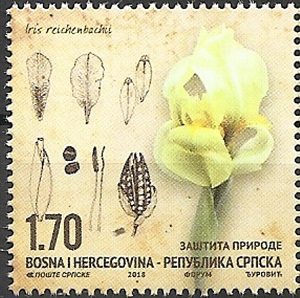 Босния и Герцеговина - Bosnia and Herzegovina (2018)
