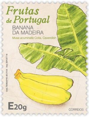 Madeira 2016