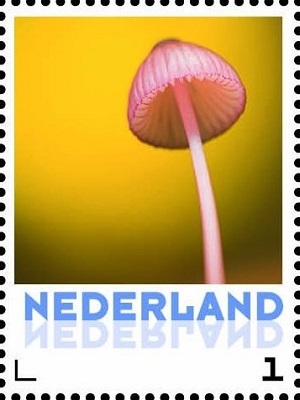Нидерланды - Netherlands 2016