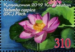 Kazakhstan 2019