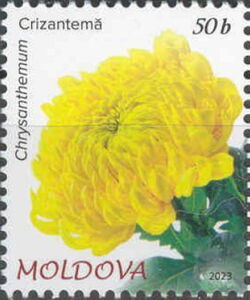 Молдавия - Moldova (2023)