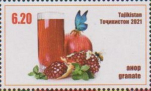 Таджикистан - Tajikistan (2021)