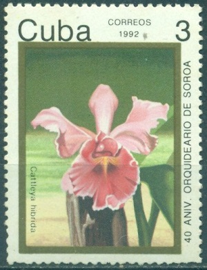 Cuba 1992