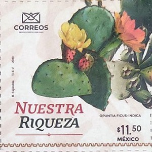 Мексика - Mexico (2020)