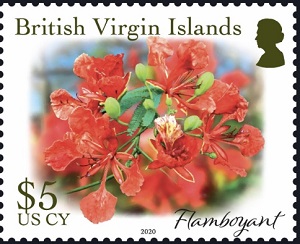 British Virgin Islands 2019