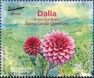 Мексика - Mexico 2025