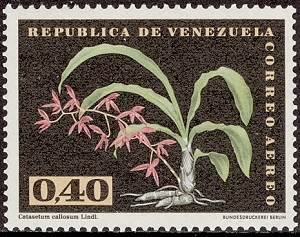 Венесуэла - Venezuela (C.callosum - 1962)