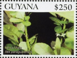Гайана - Guyana (2016)