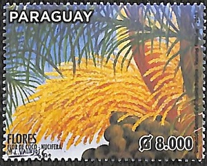Paraguay 2019